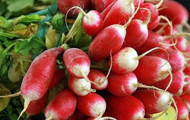 Дієтолог розповів, кому не можна їсти редис