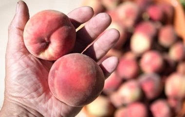 Лікар перерахувала корисні властивості персиків