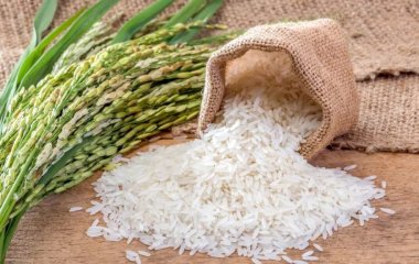 Защитит легкие, кишечник и почки: названа максимально полезная каша