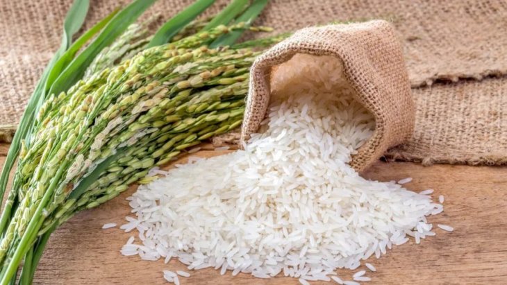 Защитит легкие, кишечник и почки: названа максимально полезная каша