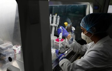 Біологи визначили, які білки коронавірусу відповідають за 