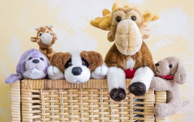 7 вещей, которым не место в доме взрослой женщины