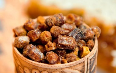 Як приймати прополіс
