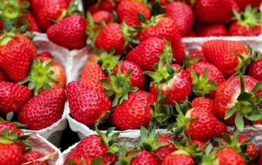Медики назвали болезнь которую вызывает клубника