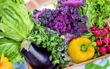Названо продукти, що рятують при розладі кишечника