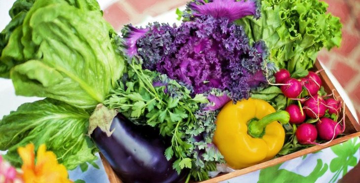 Названо продукти, що рятують при розладі кишечника