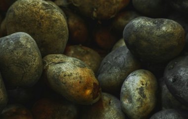 Кладемо одну просту річ у мішок із картоплею — і вона спокійно лежить у квартирі до літа без гнилі та проростання
