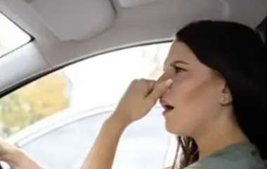 Четыре способа, как избавиться от неприятного запаха в автомобиле