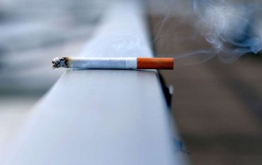 Также содержит никотиновую кислоту: какой овощ заставит вас бросить курить
