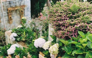 Як візуально збільшити маленький двір: два прості прийоми ландшафтного дизайну, які справді працюють