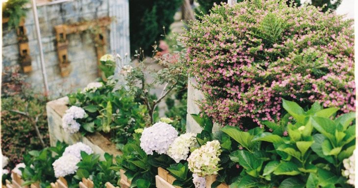 Як візуально збільшити маленький двір: два прості прийоми ландшафтного дизайну, які справді працюють