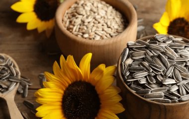 Смажене насіння соняшника: користь, шкода та вплив на здоров’я — що потрібно знати кожному