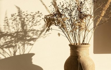 Не тримайте це в домі: звичний декор непомітно притягує невдачу — фахівці з феншуй