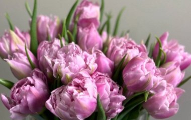 Як доглядати за тюльпанами у вазі: як найдовше зберегти їх свіжими