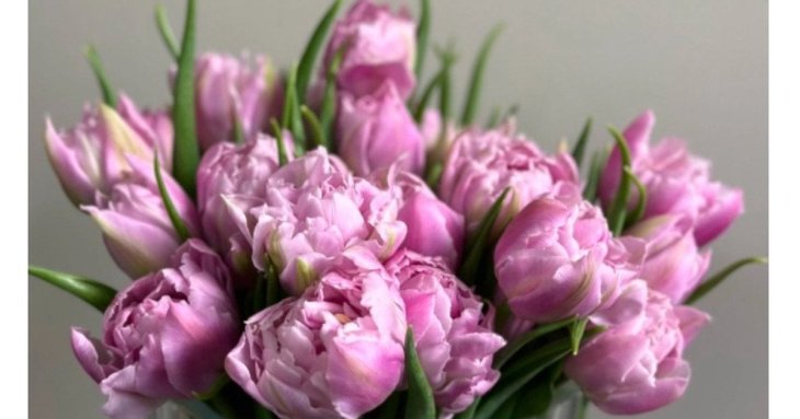 Як доглядати за тюльпанами у вазі: як найдовше зберегти їх свіжими