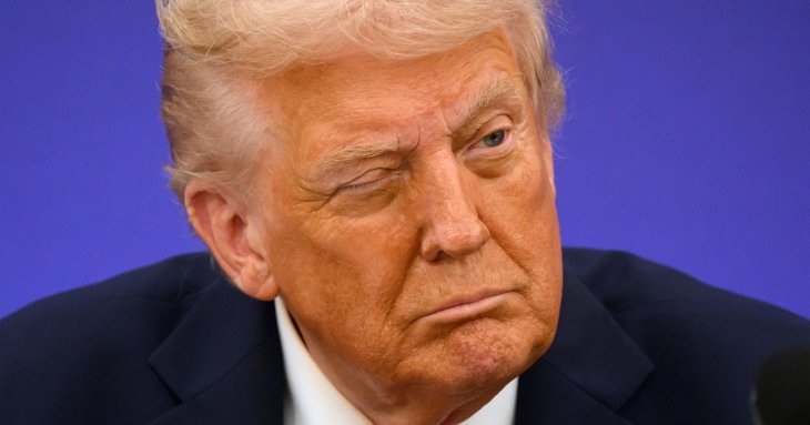 Дональд Трамп — мандрівник у часі?: у Мережі обговорюють старовинні малюнки та книги (фото)