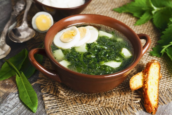 Запас еды на огороде: готовим варенье из одуванчиков и суп из крапивы