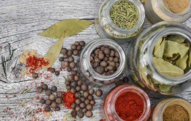 Медики назвали специю долголетия