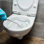 Почему в унитазе появляется желтая полоса и убрать ее без лишних усилий: простой лайфхак