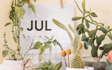 Міжнародні й державні свята у липні 2025 року: які важливі події чекають на українців другого літнього місяця