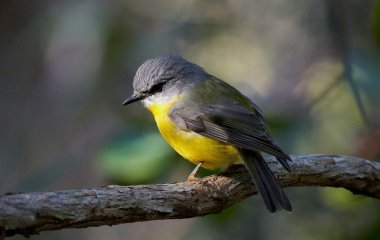 День ангела 15 жовтня: кого та як вітати з іменинами