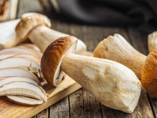 Чим корисні білі гриби для організму: які вітаміни містять і кому їх не варто їсти