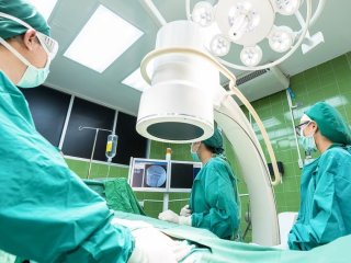 Вбиває понад дві третини інфікованих: світом стрімко шириться загадковий грибок, що уражає мозок