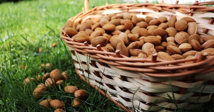 Продукти багаті на клітковину, які варто додати до раціону