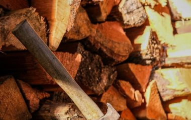 Заготівля дров 2026 року: як легально рубати дерева і не порушити закон