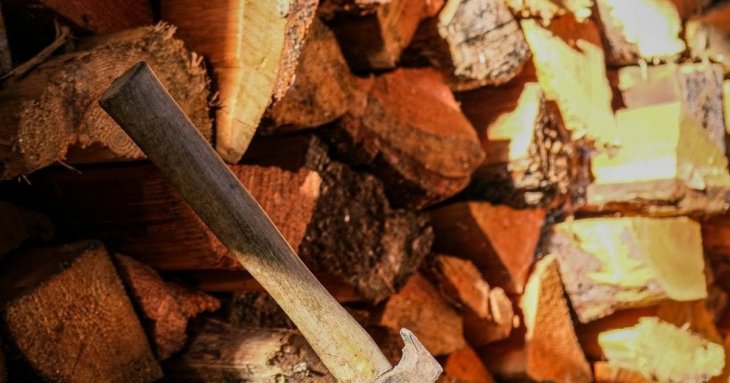 Заготівля дров 2026 року: як легально рубати дерева і не порушити закон