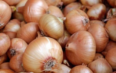 Як сушити цибулюв сушарці, духовці