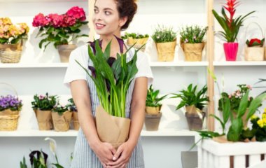 5 комнатных растений, которые вредят семейному благополучию