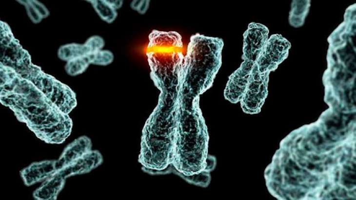 Ученые рассказали какие генные мутации считаются нормой
