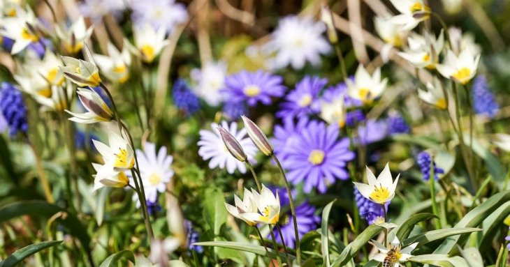 День ангела 19 квітня: кого та як вітати з іменинами