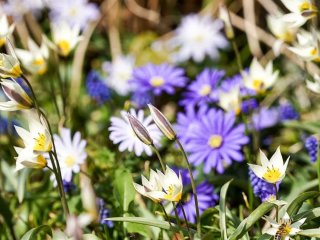 День ангела 19 квітня: кого та як вітати з іменинами