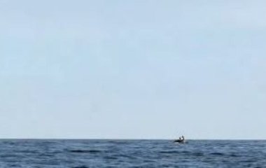 Коханців заскочили за сексом на водному мотоциклі: кадри завірусилися в Мережі (фото)
