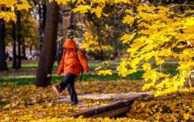 Лікар розповів, як осінній сезон впливає на ментальне здоров'я