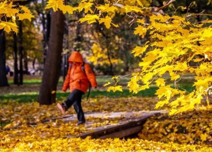 Лікар розповів, як осінній сезон впливає на ментальне здоров'я