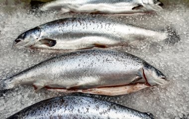 Топ-5 продуктов, которые категорически нельзя есть с рыбой