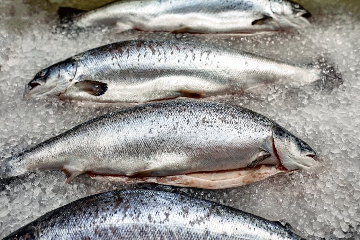 Топ-5 продуктов, которые категорически нельзя есть с рыбой