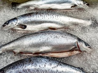 Топ-5 продуктов, которые категорически нельзя есть с рыбой