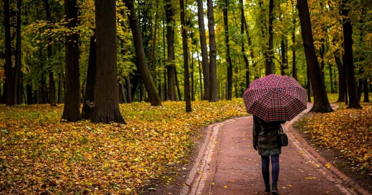 День ангела 16 листопада: кого та як вітати з іменинами