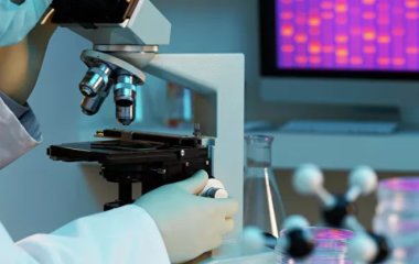 Вчені знайшли біомаркер тривалості життя