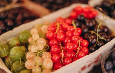 Дієтологиня назвала ягоду №1, яка допомагає захистити організм від раку та серцевих хвороб