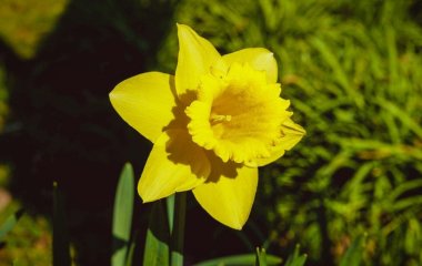 Народні прикмети сьогодні, 7 квітня: що заборонено і дозволено робити