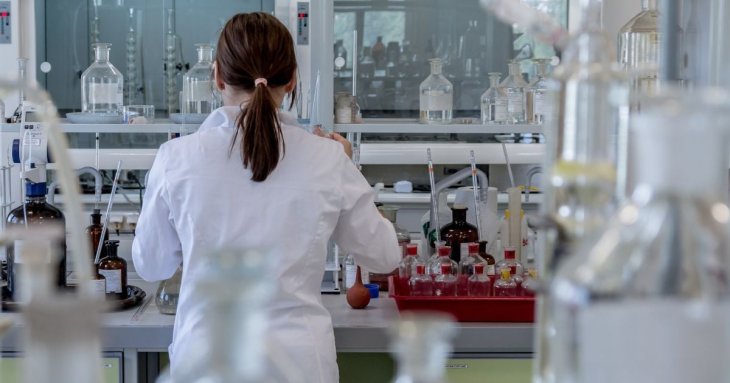 Вчені виростили спинний мозк людини та навчили відновлюватися після травм