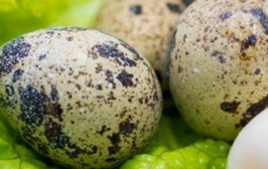 Яйца для потенции и тестостерона у мужчин