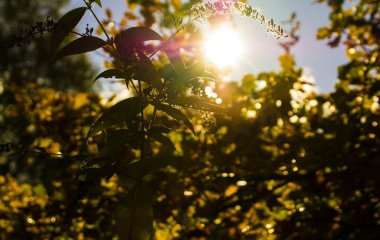 День ангела 21 червня: кого та як вітати з іменинами