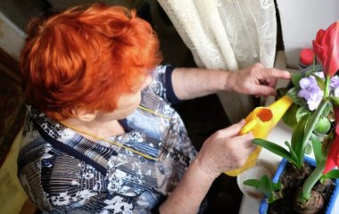 Флорист назвала ідеальну рослину для міської квартири