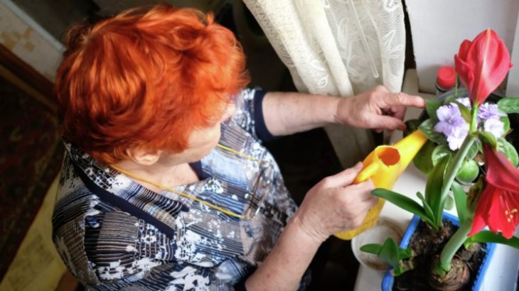 Флорист назвала ідеальну рослину для міської квартири